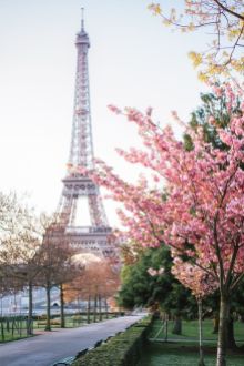 Everydayfacts Mood Spring Paris